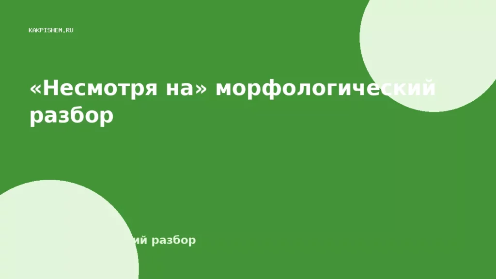 «Несмотря на» морфологический разбор