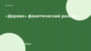 «Дерево» фонетический разбор