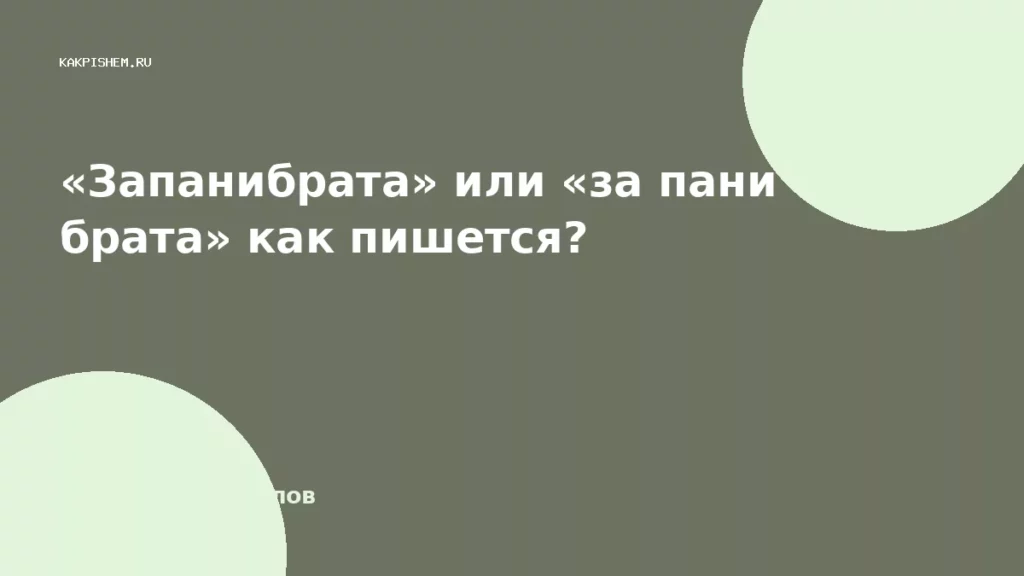 «Запанибрата» или «за пани брата» как пишется?