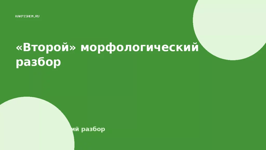«Второй» морфологический разбор