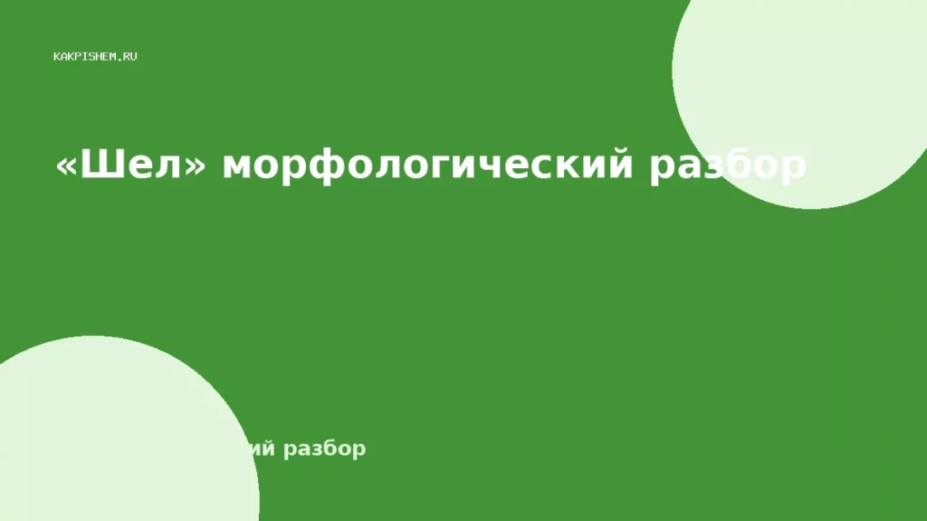 «Шел» морфологический разбор