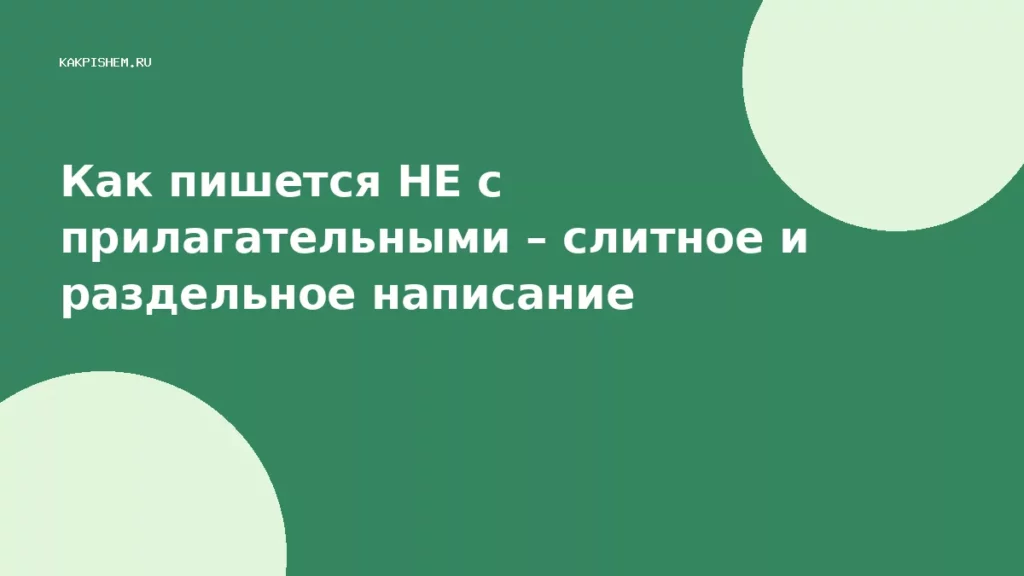 Как пишется НЕ с прилагательными – слитное и раздельное написание