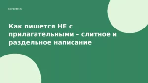 Как пишется НЕ с прилагательными – слитное и раздельное написание