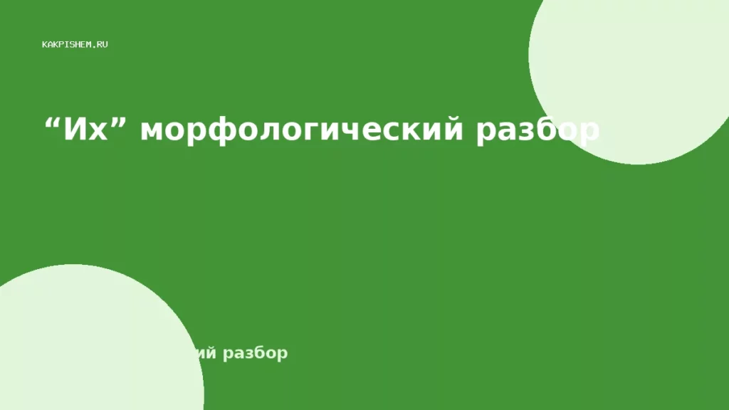 “Их” морфологический разбор