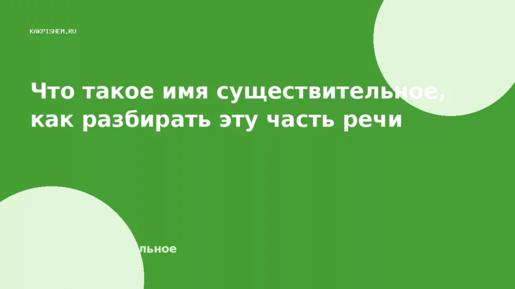 Что такое имя существительное, как разбирать эту часть речи