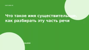 Что такое имя существительное, как разбирать эту часть речи