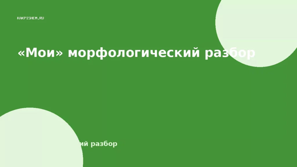 «Мои» морфологический разбор