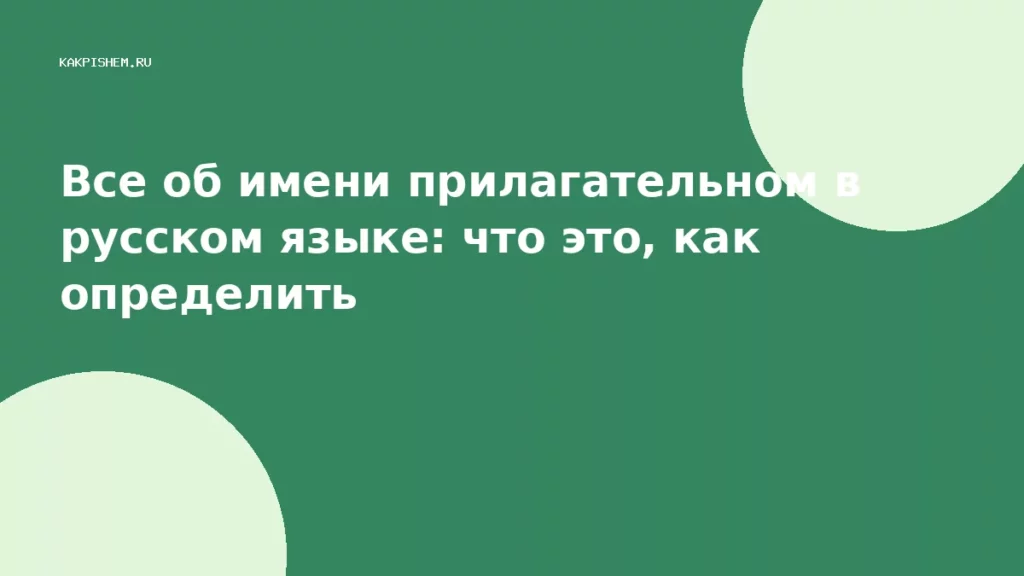 Все об имени прилагательном в русском языке: что это, как определить