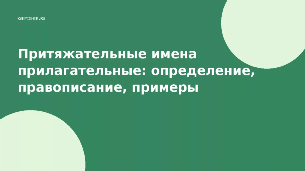 Притяжательные имена прилагательные: определение, правописание, примеры