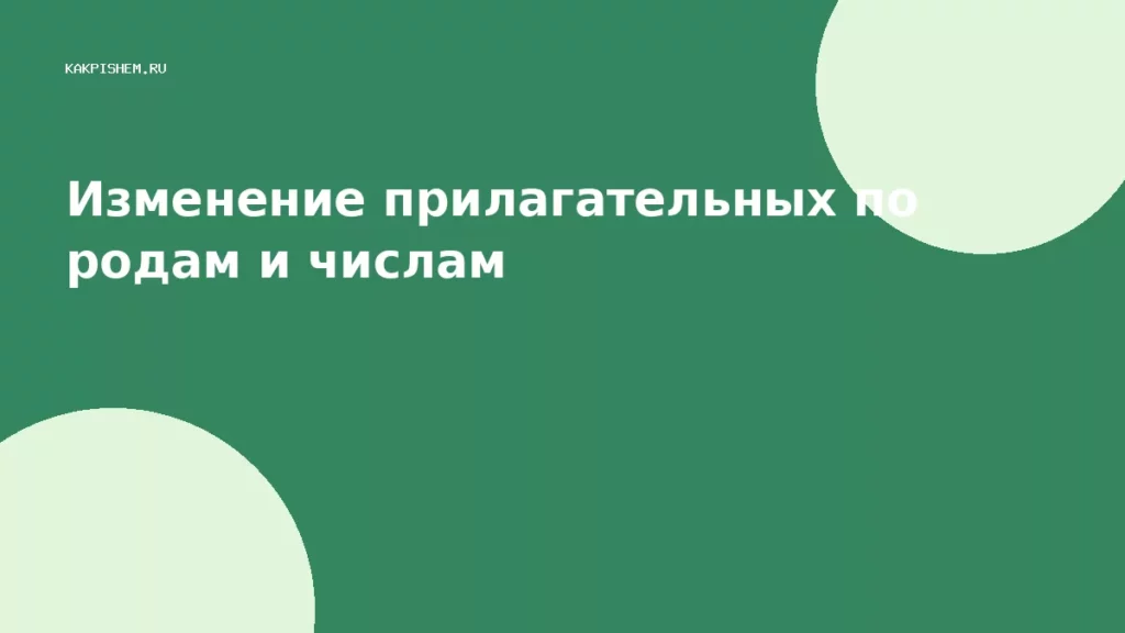 Изменение прилагательных по родам и числам