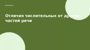 Отличия числительных от других частей речи