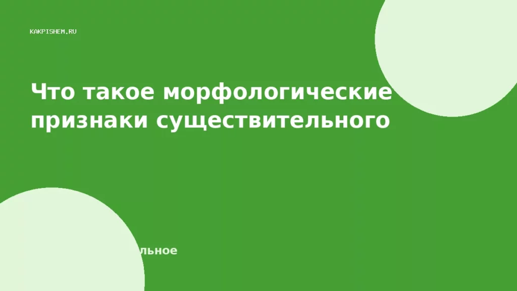 Что такое морфологические признаки существительного